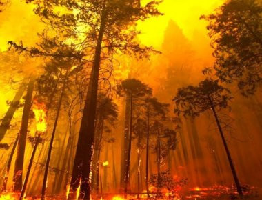 Η πρώτη προσπάθεια ανατροπής της κυβέρνησης του Κ.Καραμανλή το 2007: Με 3.500 πυρκαγιές και 58 νεκρούς!